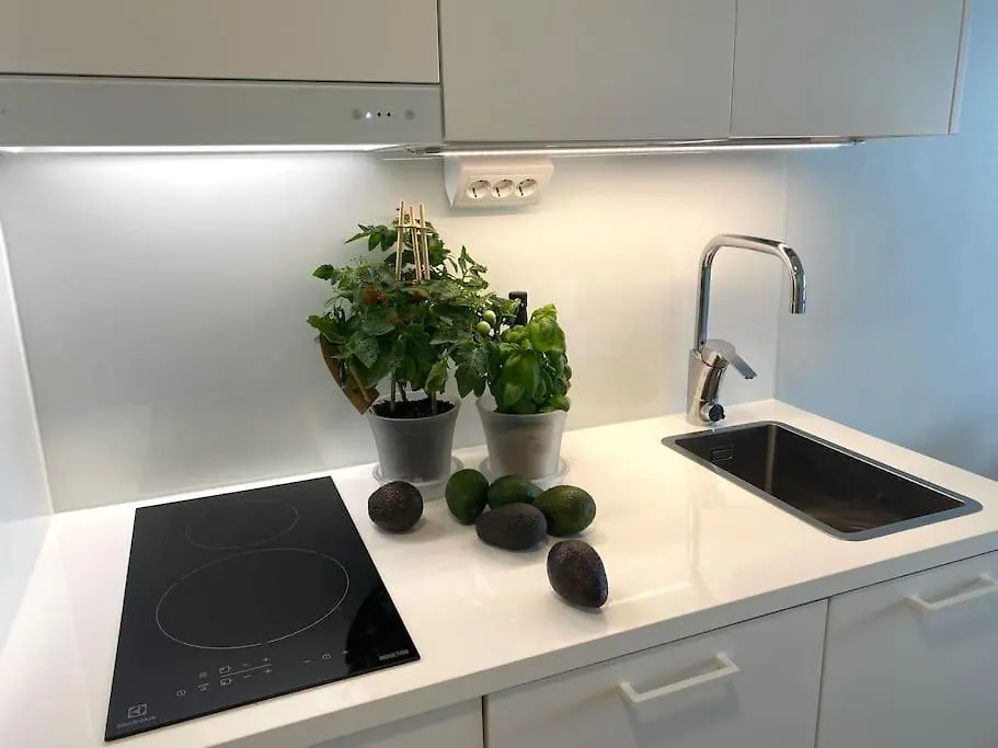 Apartment Goldfinger Yksioe Merinaekoealalla 7 Krs Helsinki